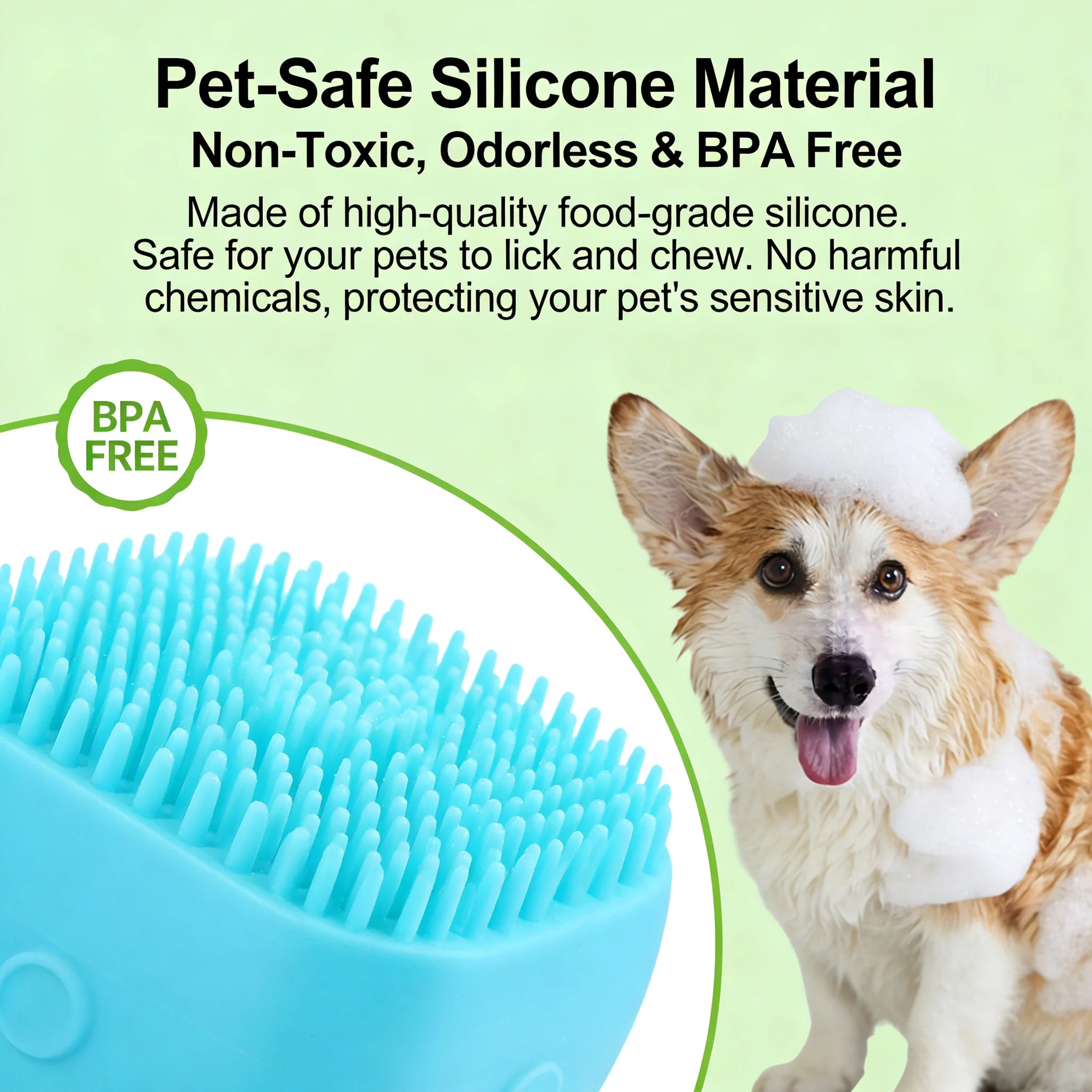 1 Pet Bath & Massage